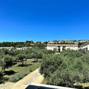 Lou Olivie, Climatise Avec Piscine Aux Pieds Alpilles Paradou